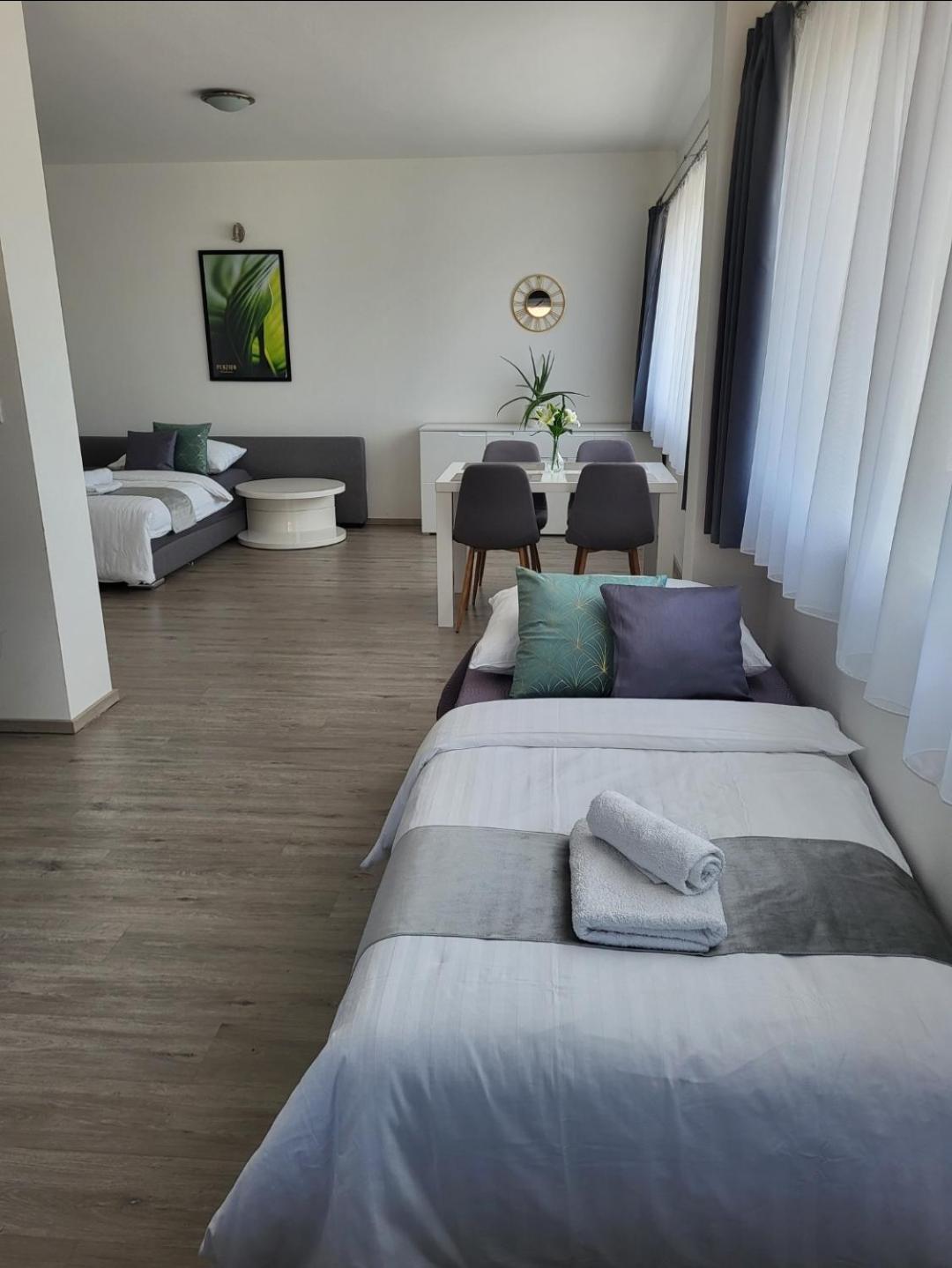 Gabriela Apartment Roudne